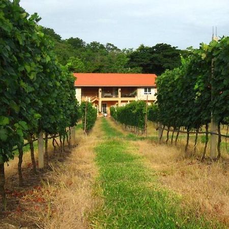 Phayayen Granmonte Wine Cottage מראה חיצוני תמונה