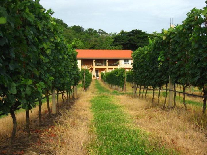 Phayayen Granmonte Wine Cottage מראה חיצוני תמונה