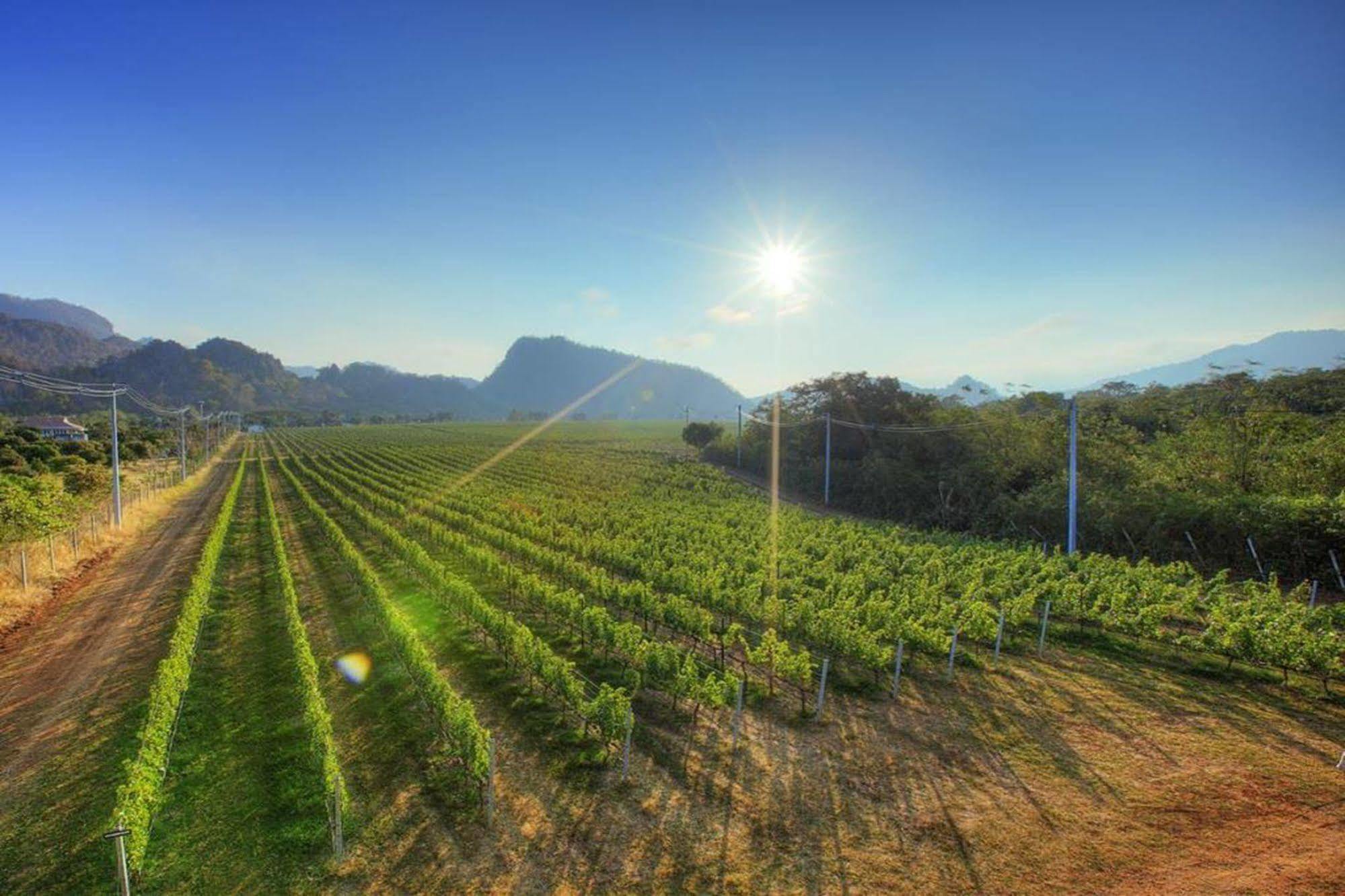 Phayayen Granmonte Wine Cottage מראה חיצוני תמונה