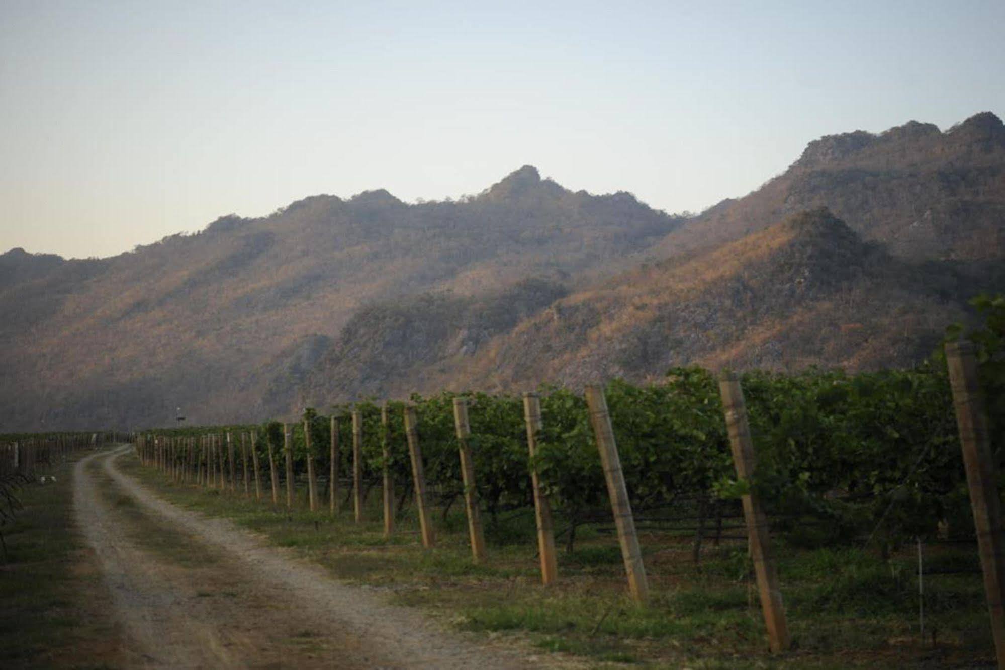 Phayayen Granmonte Wine Cottage מראה חיצוני תמונה