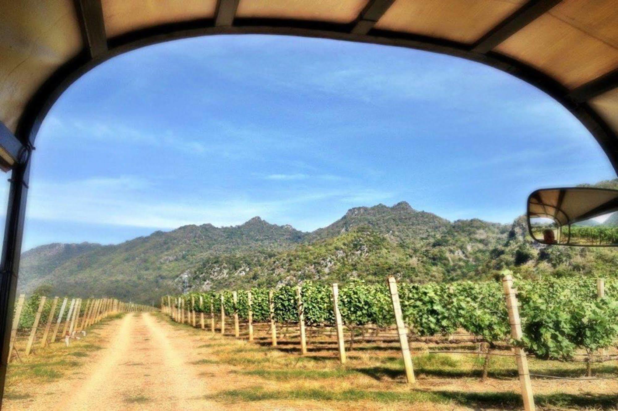 Phayayen Granmonte Wine Cottage מראה חיצוני תמונה